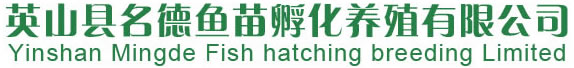 羅非魚(yú)魚(yú)苗-羅非魚(yú)成魚(yú)-魚(yú)苗